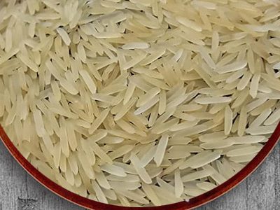 1121-SELLA-RICE